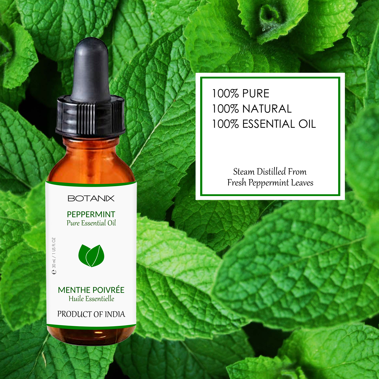 Viva Doria 100% Pure Northwest Peppermint Essential Oil, Undiluted, Food  Grade, Steam Distilled, Made in USA, 30 mL (1 Fluid Ounce)
